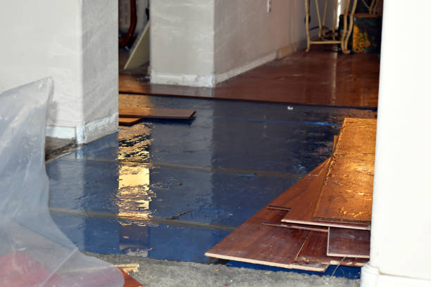 Professional Emergency Water Damage Restoration technician working in Nellis AFB, NV